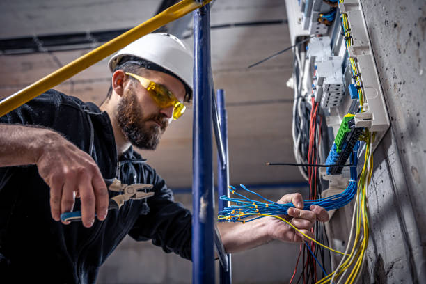 Best Electrician Near Me  in Lake Vla, IL