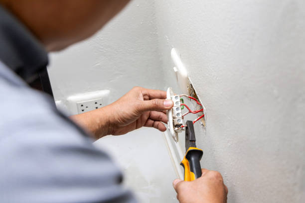 Best Affordable Electrician  in Lake Vla, IL